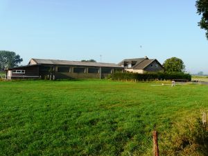 Das Platzhaus